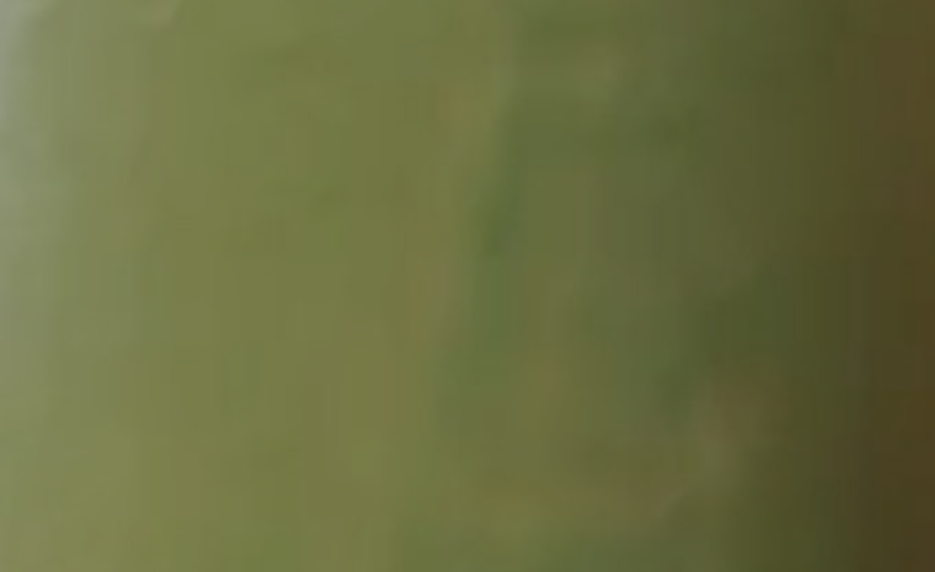 Claustra - Roberta – Image 7