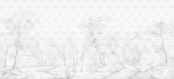 Papier peint - Wet Inner forest – Image 2